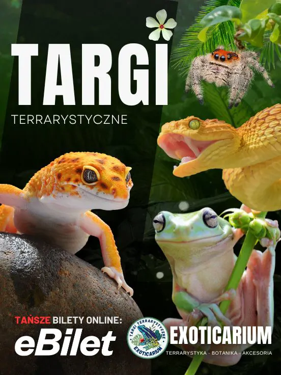 Exoticarium - Targi Terrarystyczne